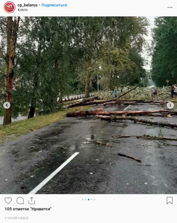 В Кобрине дождь затопил улицы, ветер повалил деревья