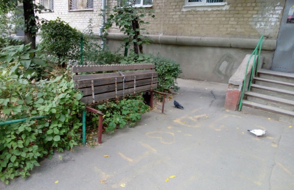 Бабушки из Ростова сделали скамейку с гвоздями на замке