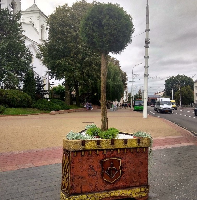 Фотофакт: на площади Ленина появились кадки с деревьями