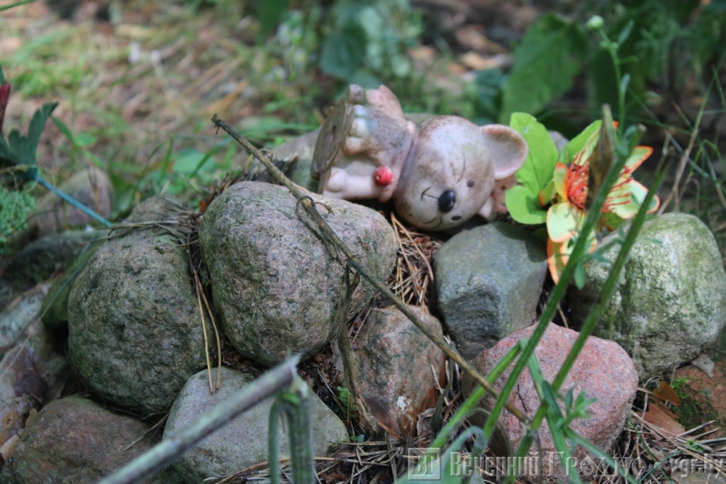 Кладбище домашних животных: как в Гродно хоронят своих питомцев