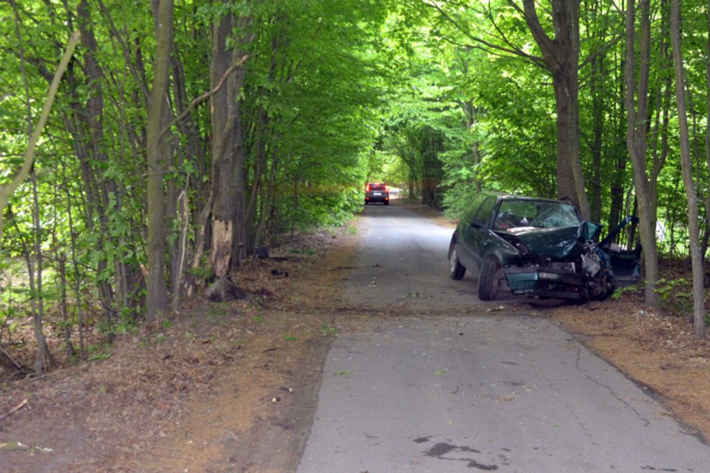 Машина врезалась в деревья под Брестом: водитель в больнице