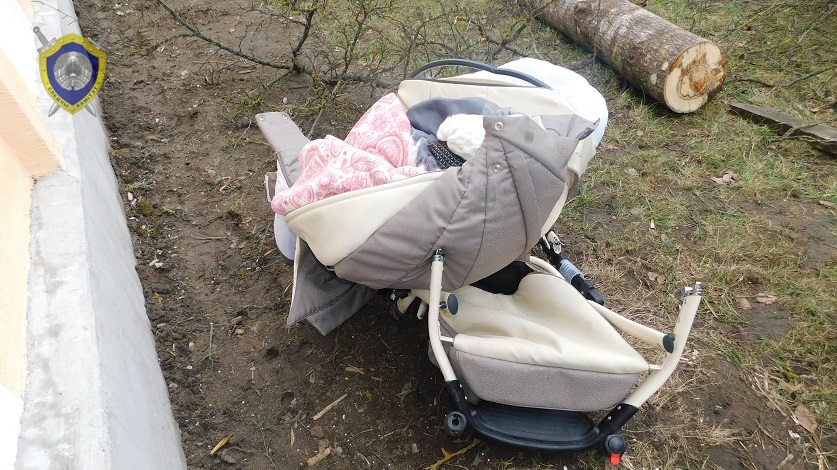 Авария с лесовозом: водитель признал вину в смерти младенца и женщины