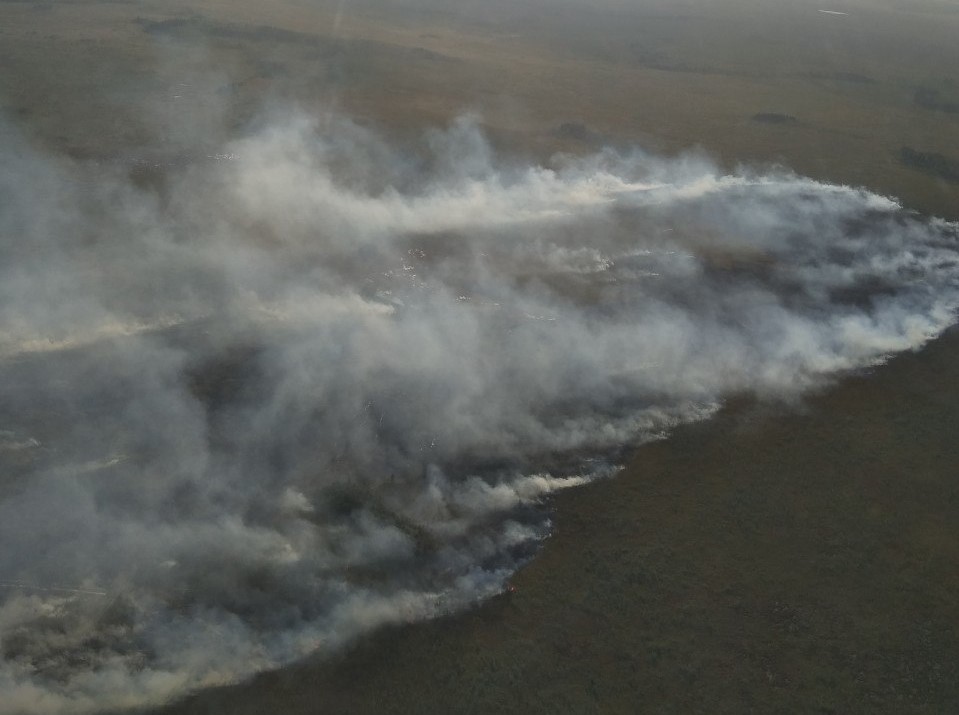Вертолеты тушат пожар на Ольманских болотах
