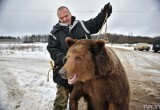 В деревне под Бобруйском разгуливала сбежавшая медведица