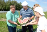 В Беларуси хотят вырастить 500 тонн арбузов
