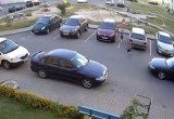 В Бресте на ул. Суворова автомобиль сбил ребенка (видео)