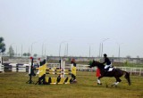 В Бресте состоялся чемпионат области по конному спорту