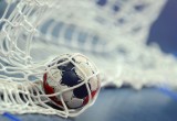 РФ и РБ подадут общую заявку на организацию европейского чемпионата по гандболу