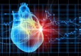 В Беларуси успешно проведены первые операции по пересадке 3D-моделей сердца