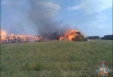 В Брестском районе в пожаре сгорело 15 тонн соломы