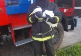 В Брестской области сотрудники МЧС спасли запутавшуюся в водорослях цаплю со сломанной ногой