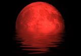 7 августа белорусы смогут наблюдать красную Луну