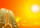 В Брест возвращается жара: на 10 и 11 августа объявили оранжевый уровень опасности