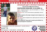 Пропавший в Беловежской пуще 10-летний мальчик все еще не найден. Продолжаются ли поиски?