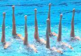 17-19 ноября в Бресте пройдет международный турнир по синхронному плаванию «Золотая осень»