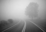 Густой туман накрыл Брест утром 9 января и осложнил обстановку на дорогах