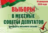 С 13 февраля в Беларуси можно проголосовать досрочно на местных выборах