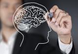 По мнению учёных, рост мозга продолжается даже в старости