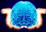 Сотрясение мозга повышает риск развития болезни Паркинсона