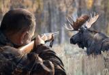 Двое браконьеров из Брестского района застрелили оленя в Беловежской пуще