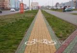 Голландцы поделятся с брестчанами опытом по организации велосипедной инфраструктуры