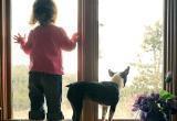 Как предотвратить падение ребёнка из окна? 5 советов родителям