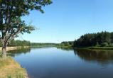 В Пинске в реке Припять утонул мужчина