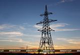 В Брестской области 40 населенных пунктов остались без электричества из-за несанкционированных работ
