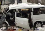Страшная авария на трассе М10: микроавтобус вылетел под молоковоз, погибли пять женщин 