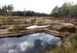 В заказнике "Ольманские болота" незаконно рыли котлованы: возбуждено уголовное дело