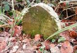 Британец нашёл 130-летнюю могилу кролика