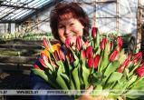 Брестский «Коммунальник» рассказал, сколько цветов планирует продать к 8 Марта