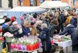 На Пушкинской в канун 8 Марта будут торговать 100 продавцов цветов