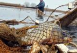 С 20 марта по 18 мая вводится запрет на лов рака и всех видов рыбы в Брестской области