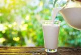 "Клуб экспертов молока" создают в Бресте: поучаствовать может каждый