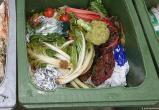 Отмена штрафа за изъятие товаров из мусорных контейнеров ожидается в Гамбурге