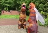 Пара пришла в ЗАГС в костюмах тираннозавров (видео)
