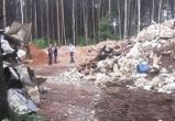 Предприятие устроило свалку в лесу в Барановичском районе