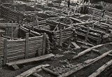 Бресту – 1000 лет. Как археологи и школьники откапывали «Белорусские Помпеи» 