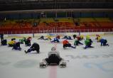 Хоккейный клуб «Брест» провел открытую тренировку для болельщиков и прессы. (Фото)