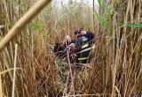 Пенсионер застрял посреди озера в Березовском районе: на помощь пришли спасатели