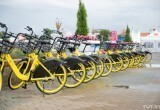 В Брест пришел велошеринг «Колобайк». Рассказываем, где и как взять покататься желтые велосипеды 