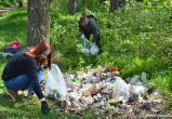 В Беларуси проведут акцию «Чистый лес»