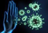 Правда и мифы об укреплении иммунитета