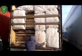 Видео: как в фуре под видом плит спрятали 21 тонну груш