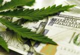 В США предлагают работу дегустатора марихуаны за 3 тысячи долларов в месяц