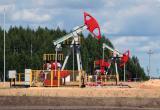 Беларусь приостановила экспорт своей нефти, чтобы обеспечить страну бензином
