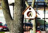 На набережной в Бресте появились уютные кормушки для птиц