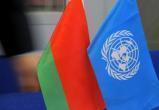 Правозащитники просят ООН вмешаться в ситуацию в Беларуси