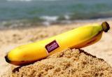10 ресурсов на грани исчезновения: бананы, песчаные пляжи и новая музыка